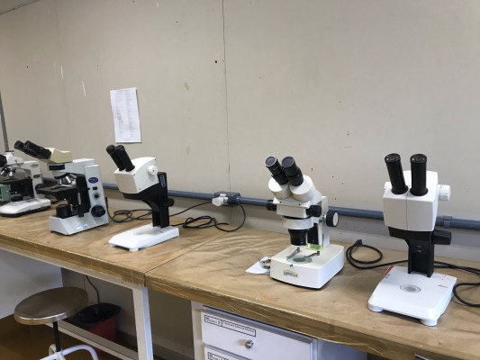 Microscópios e Lupas 2